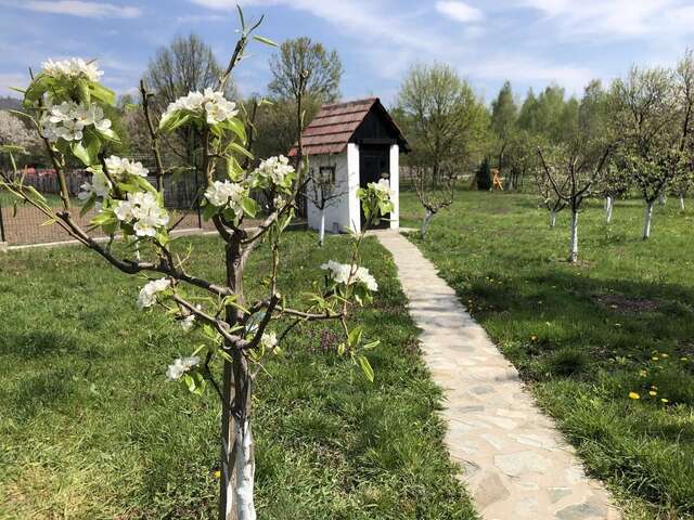 Загородные дома Green House Байя-де-Фьер-13